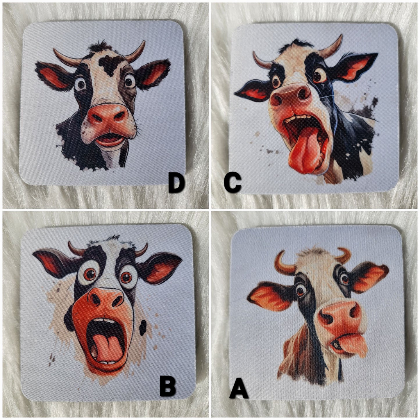 Funny Cow House Coasters